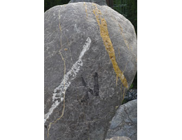 Solitärfindlinge für Gärten,Raritäten,Showstone,Skulpturen aus Stein - Findling 940