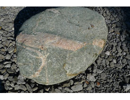 Solitärfindlinge für Gärten,Gestaltungsstein,Solitärfindlinge für Gärten - Findling 849