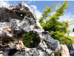 Fabelstein,Raritäten,Showstone,Skulpturen aus Stein,Steintier - Findling 1200