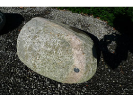 Solitärfindlinge für Gärten,Gestaltungsstein,Solitärfindlinge für Gärten - Findling 839