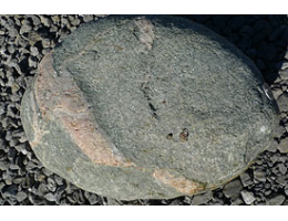 Solitärfindlinge für Gärten,Gestaltungsstein,Solitärfindlinge für Gärten - Findling 849